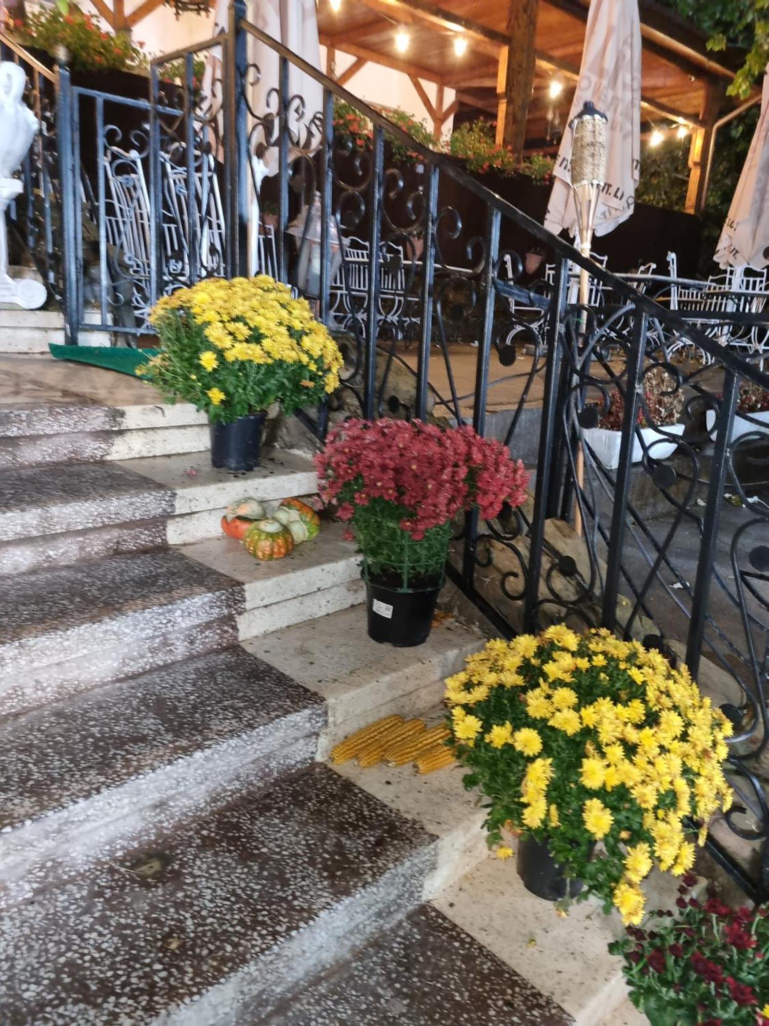Casa Boiereasca Hotell Iasi Exteriör bild